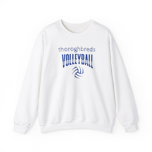 Mascot 5-Crewneck Sweatshirt Volleyball