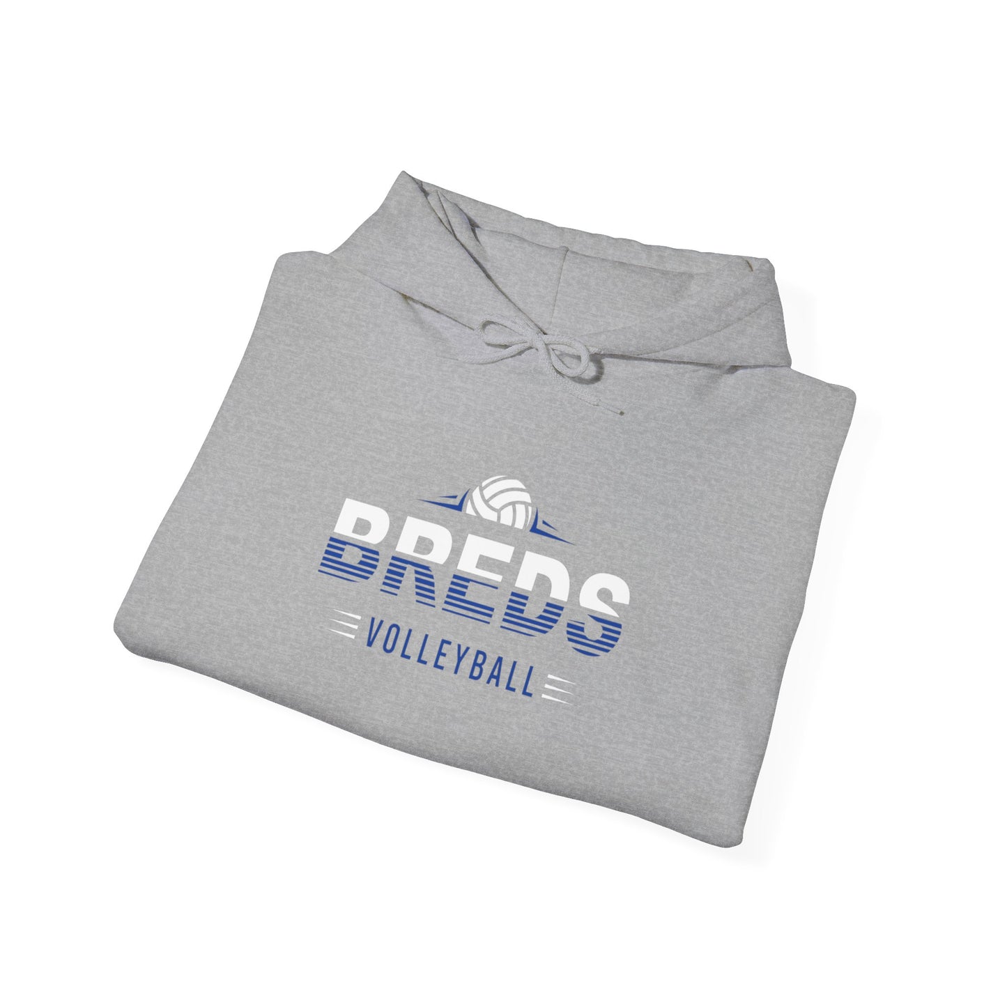 Mascot 2 Volleyball- Hooded Sweatshirt